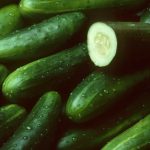 Sweet Success Hybrid Cucumber GardenSeeds – 1000 Seeds – Non-GMO