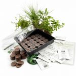 Indoor Culinary Herb Garden Kit-Grow Cooking Herbs-Basil Dill Cilantro