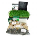 Deluxe Organic Wheatgrass & Barleygrass Kit w/ Tornado Manual Juicer