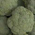 Destiny Broccoli -Hybrid -1000 Seeds- Non-GMO Vegetable Gardening Seed