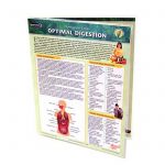 PermaChart: Optimal Digestion – Reference Card / Chart by Mindsource
