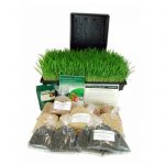 Deluxe Organic Wheatgrass Kit-Grow Wheatgrass, Barleygrass & Sunflower