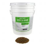 Bulk Dried Dun Pea Seeds – Food Storage- 35 Lb – Pea Shoots, Garden
