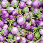 Italian Rosa Bianca Eggplant Seeds – 500 Seeds – Non-GMO – Egg Plant