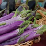 Millionaire Purple Hybrid Eggplant Garden Seeds – 100 Seeds – Non-GMO