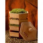 Terracotta Natural Clay Sprouter by Geo – 4 Stackable Sprouting Trays
