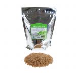 Organic Wheatgrass Seed – Wheat – 2.5 Lb Bag – Hard Red Winter