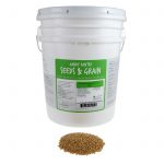 Organic Hard White Wheat Bulk Bucket – Emergency Food Storage 35 Lb