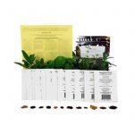Herbal Tea Herb Seed Assortment-Herbal Tea-Valerian, Chamomile, More