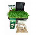 Organic Wheatgrass Growing Kit & Hurricane Wheat Grass Juicer
