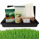 Organic Hydroponic Wheatgrass Growing Kit – Grow & Juice Wheat Grass