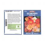 Poppy Flower Seeds – Iceland Finest Mix -400 Seed Pkt – Annual Poppies