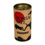 Japanese Black Pine Bonsai Tree Kit-Grow Bonsais from Seed / Seeds