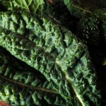 Kale Garden Seeds – Premier – 1 Lb – Non-GMO, Heirloom Vegetable