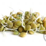 Organic Green Lentil Sprouting Seeds – 1 Lb – Non-GMO, Unhulled Sprout