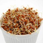Organic Red Lentil Sprouting Seeds – 5 Lb – Non-GMO, Unhulled Sprout