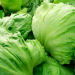 Crisphead Lettuce Garden Seeds – Iceberg – 1 Oz – Heirloom Vegetable