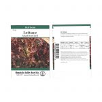 Leaf Lettuce Garden Seeds – Salad Bowl Red – 2.5 g Packet – Vegetable