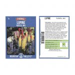 Lupine Flower Garden Seeds -Russell Strain Mix -1 g Packet -Perennial