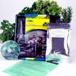 Medicinal Herb Garden Kit- Grow Healthy Herbs- Fever Few Yarrow More