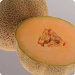 Cantaloupe Melon Garden Seeds – Ball 2076 Hybrid – 1000 Seeds – Fruit