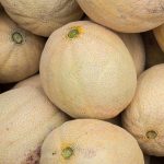 Cantaloupe Melon Garden Seeds – Burpee Hybrid – 100 Seeds – Fruit