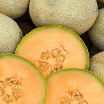 Cantaloupe Melon Garden Seeds – Edisto 47 – 4 Oz – Heirloom, Fruit