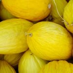 Crenshaw Melon Garden Seeds- 4 Oz- Non-GMO, Heirloom Gardening Fruit