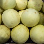 Honeydew Melon Garden Seeds (Treated) – EarliDew Hybrid – 100 Seeds