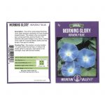 Morning Glory Flower Garden Seeds – Heavenly Blue – 2 g Pack – Annual