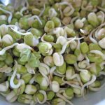 Mung Bean Sprout Seeds -5 Lb- Organic, Non-GMO- Sprouts, Food Storage