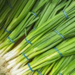 Evergreen Bunching Onion Garden Seeds-4 Oz-Organic, Heirloom Vegetable