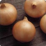 Candy Hybrid Onion Garden Seeds – 1000 Seeds – Non-GMO, Vegetable