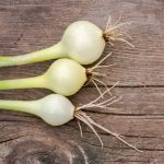 Crystal White Wax Pickling Onion Garden Seeds -1 Oz -Non-GMO, Heirloom