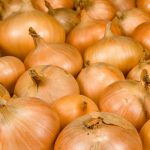 Walla Walla Onion Garden Seeds – 5000 Seeds – Non-GMO, Heirloom
