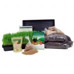 Organic Wheatgrass Growing Kit: Grow & Juice Wheat Grass