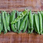 Green Arrow Pea Garden Seeds (Treated) – 1 Lbs – Vegetable Gardening