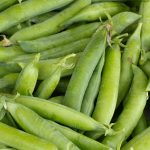 Little Marvel Pea Garden Seeds (Treated) – 1 Lb – Non-GMO, Heirloom