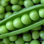 Perfection Dark Seeded Pea Garden Seeds – 5 Lb – Non-GMO, Gardening