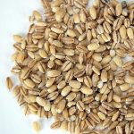 Organic Pearled Barley (Hulled)- 5 Lb – Grain – Soup, Recipes, Storage