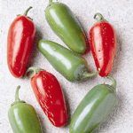 Early Jalapeno Hot Pepper Garden Seeds – 1 Oz – Non-GMO, Heirloom