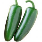 Mucho Nacho Hybrid Jalapeno Hot Pepper Garden Seeds – Non-GMO