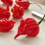 Scorpion Butch T Hot Pepper Garden Seeds – 100 Seed Packet – Non-GMO