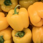 Canary Bell Sweet Pepper Garden Seeds – 1 Oz – Non-GMO, Bell Peppers