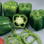 Colossal Hybrid Sweet Pepper Garden Seeds (Treated)- 100 Seed- Non-GMO