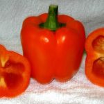 Coral Belle, Sweet Pepper Garden Seeds – 1 Oz – Non-GMO, Orange Bell