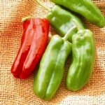 Giant Marconi Hybrid – Sweet Pepper Garden Seeds – 100 Seed- Italian