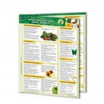 PermaChart-Wheatgrass & Sprouts -Reference Card / Chart by Mindsource