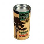 Pinon Pine Tree Kit- Grow Pine Trees from Seed- Pine Tree Seeds