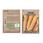 Robust 997 Yellow Hulles Hybrid Popcorn Garden Seeds – 10 g – Non-GMO